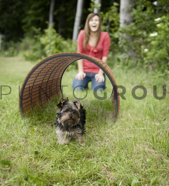 Туннель AGILITY СП 001-8
